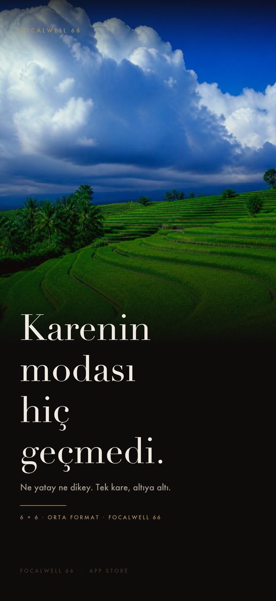Karenin modası hiç geçmedi.